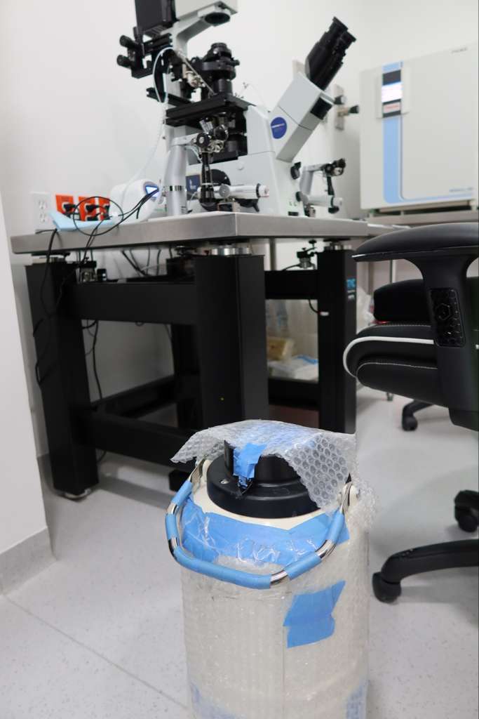 Geld IVF Courier in IVF Laboratory